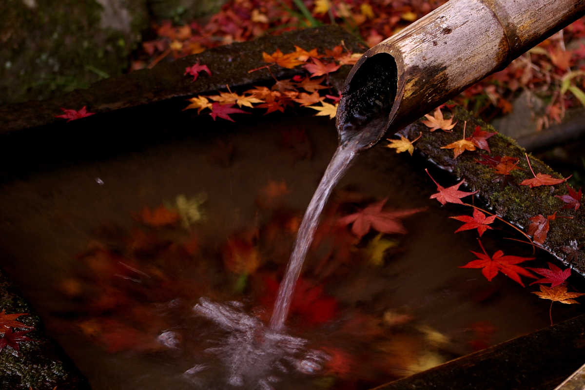 岸和田・牛滝山大威徳寺の紅葉