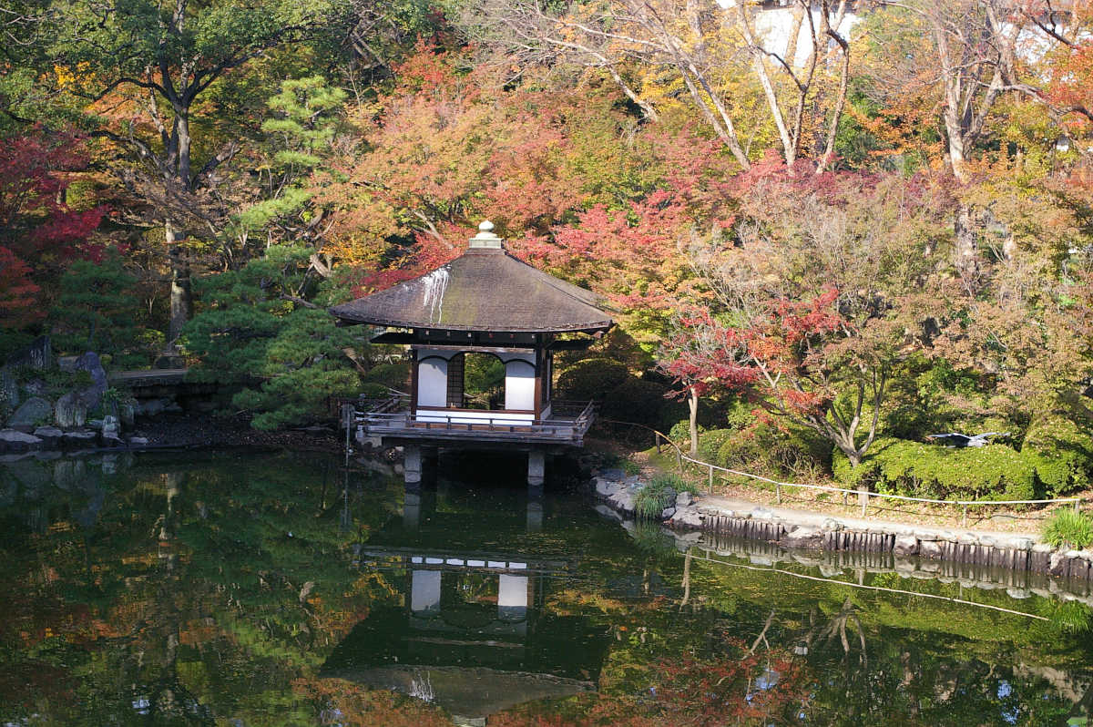 和歌山城　紅葉渓庭園の紅葉