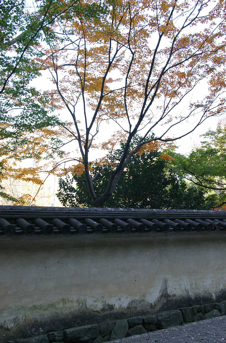 和歌山城　紅葉渓庭園の紅葉