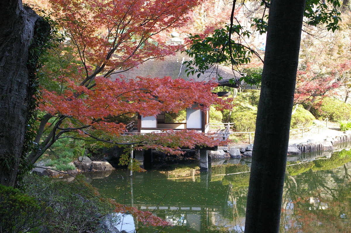 和歌山城　紅葉渓庭園の紅葉