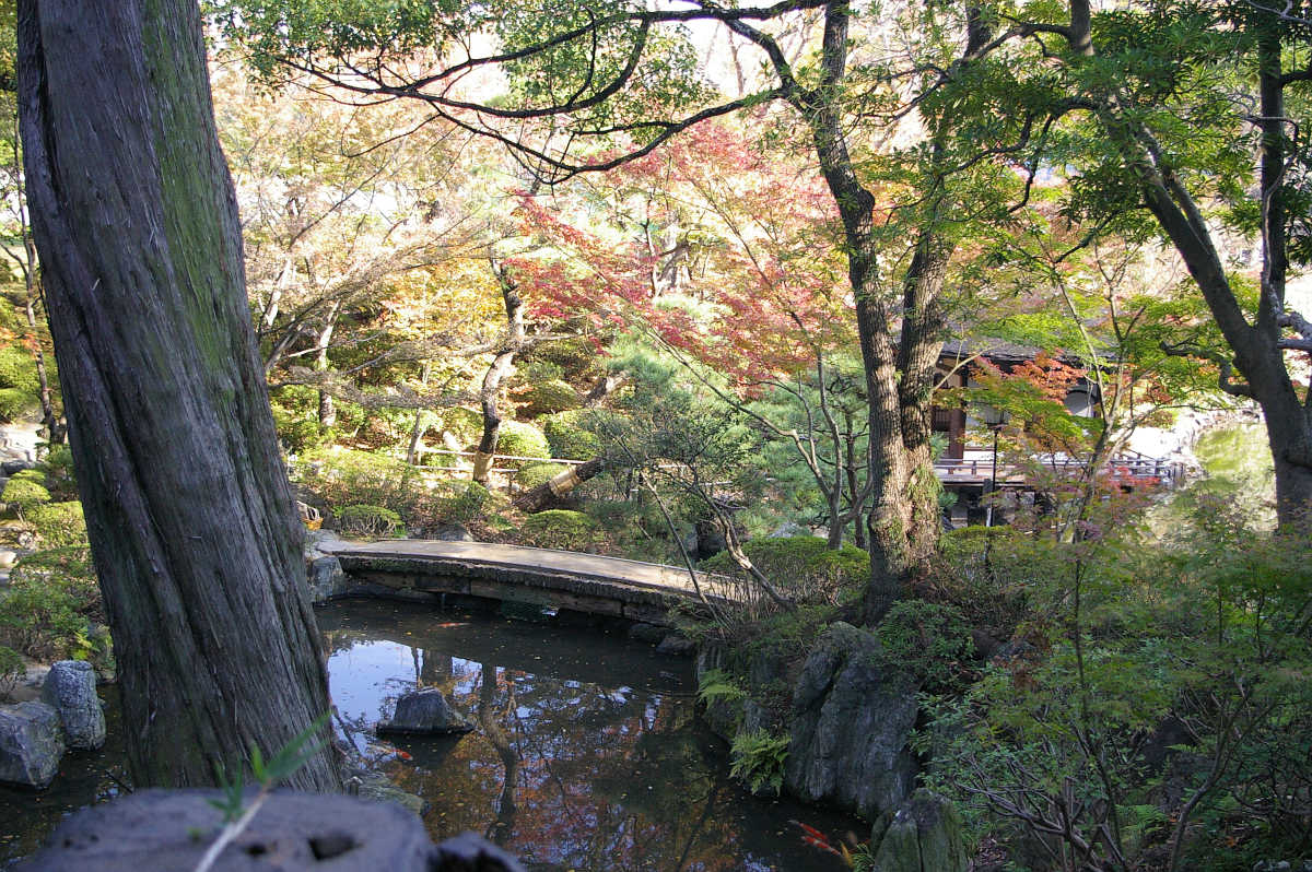 和歌山城　紅葉渓庭園の紅葉