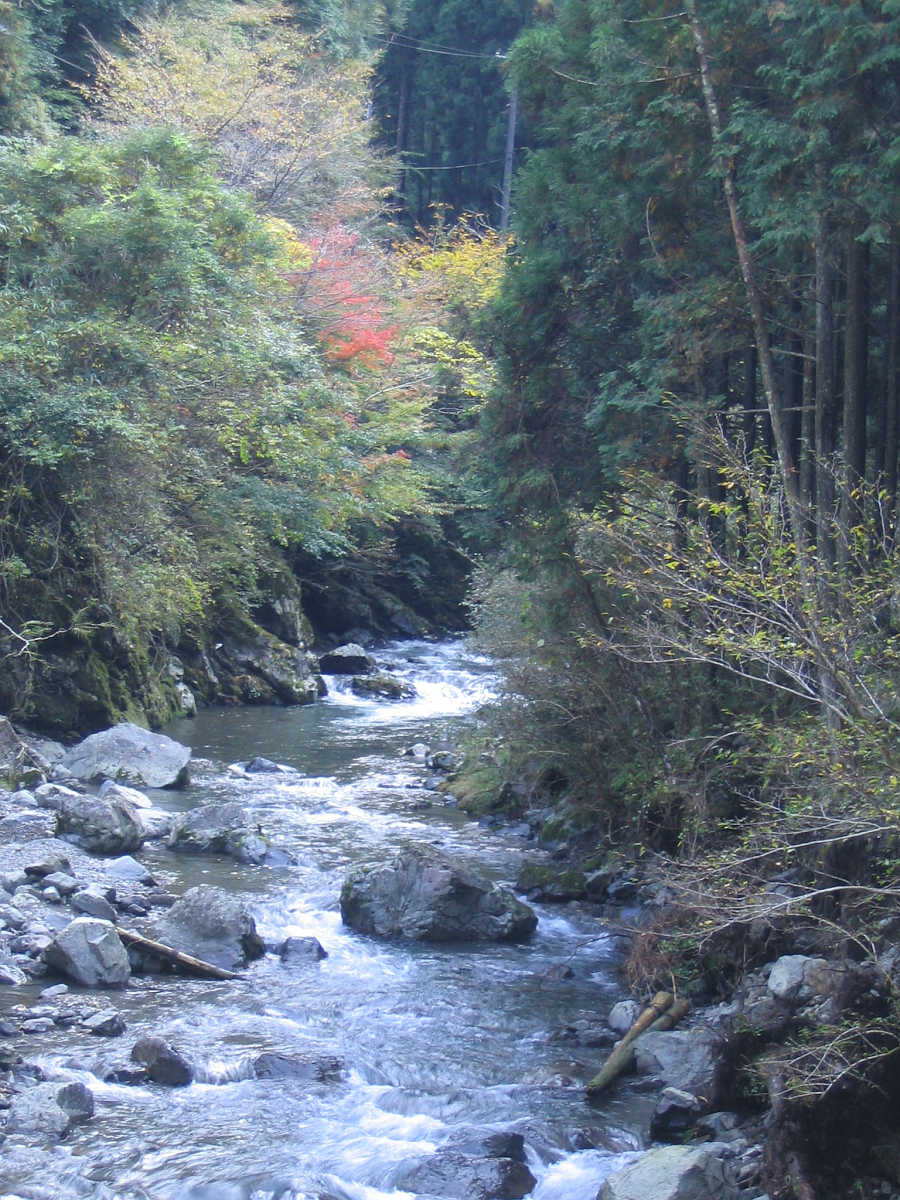 有田川・湯川渓谷の紅葉