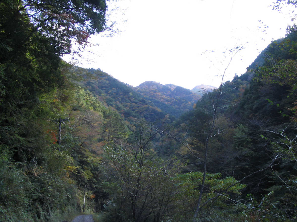 有田川・湯川渓谷の紅葉