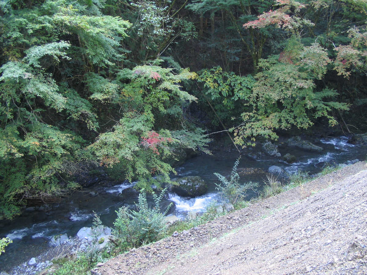 有田川・湯川渓谷の紅葉