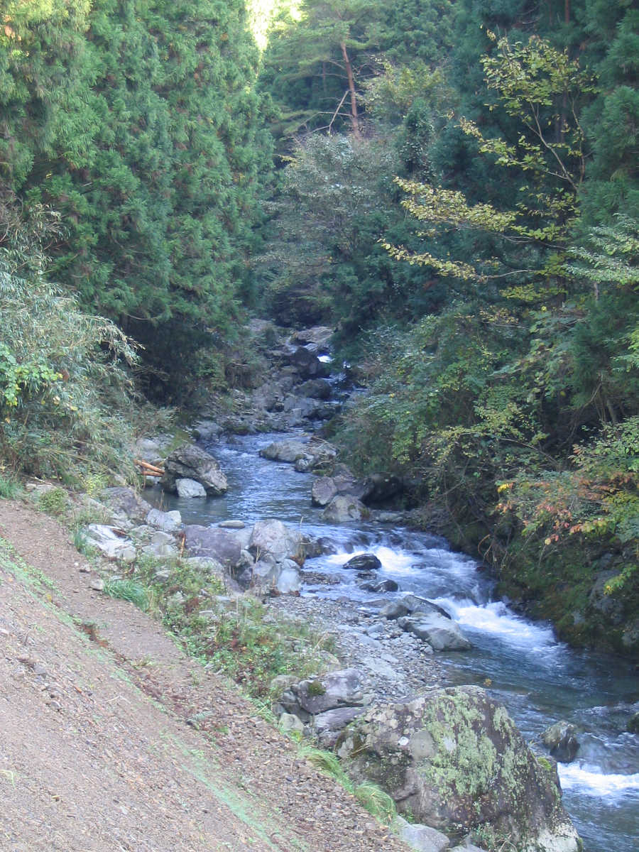 有田川・湯川渓谷の紅葉