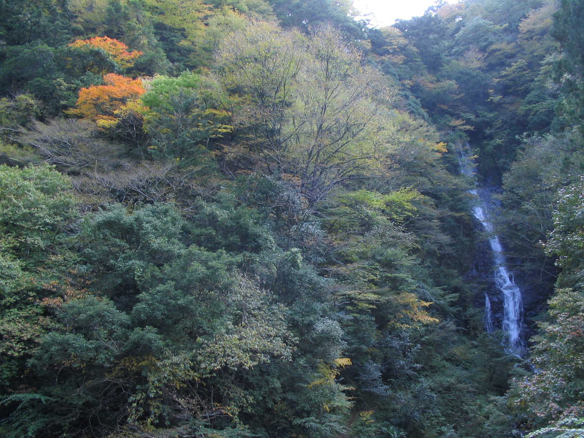 有田川・湯川渓谷の紅葉