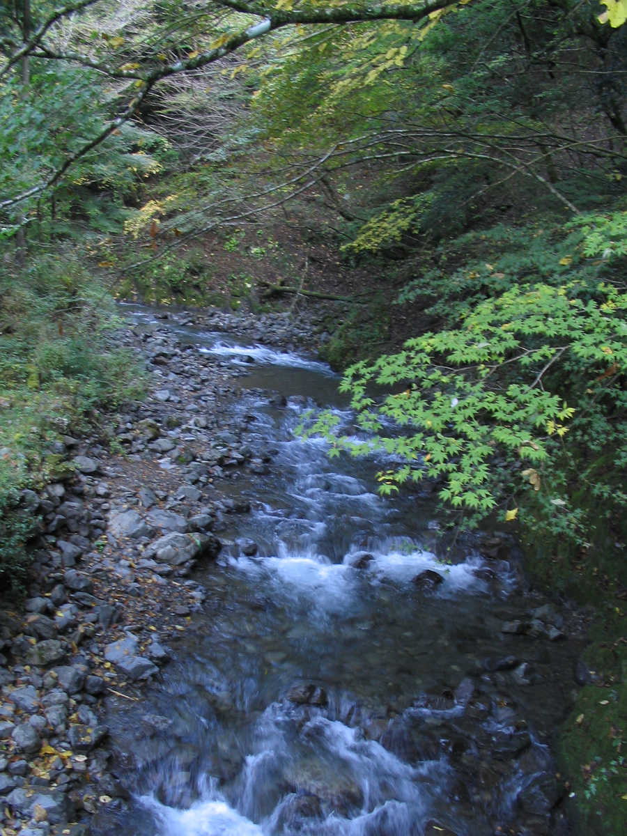 有田川・湯川渓谷の紅葉