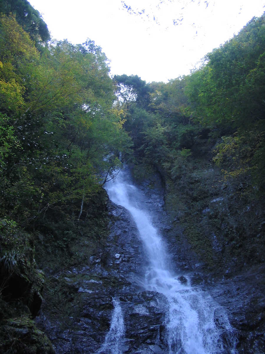 有田川・湯川渓谷の紅葉