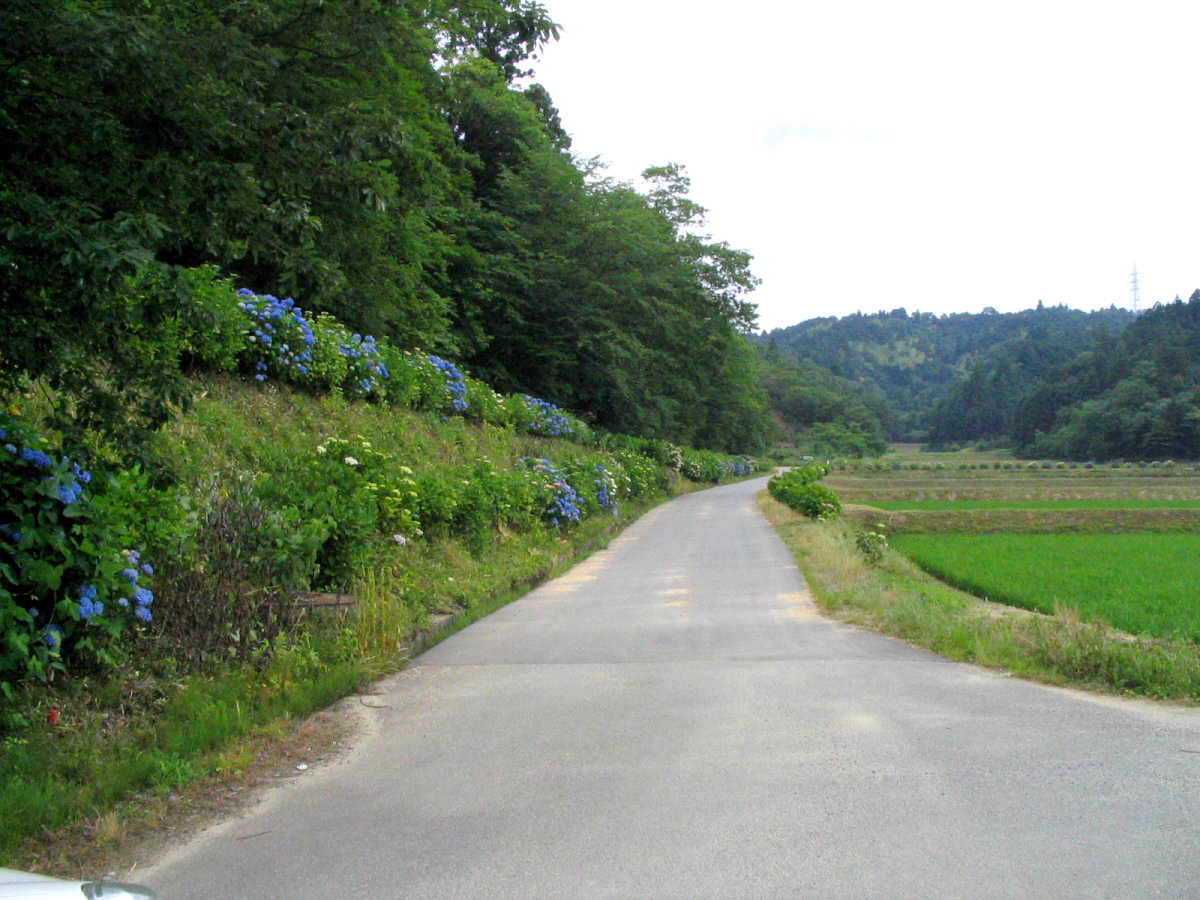 勢和村　丹生大師周辺