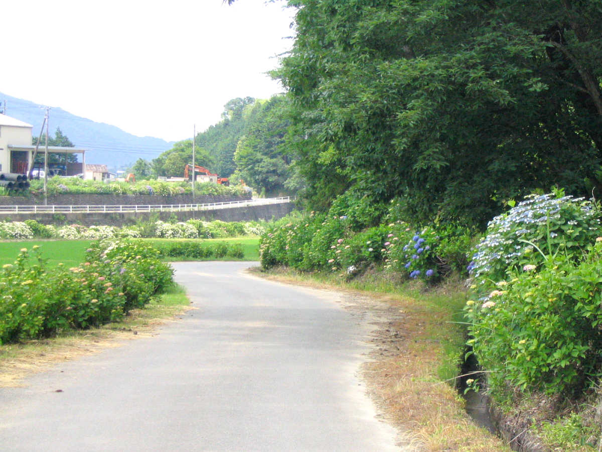 勢和村　丹生大師周辺