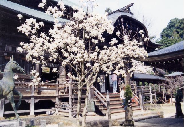 西国三十三ケ所二十九番札所・青葉山松尾寺