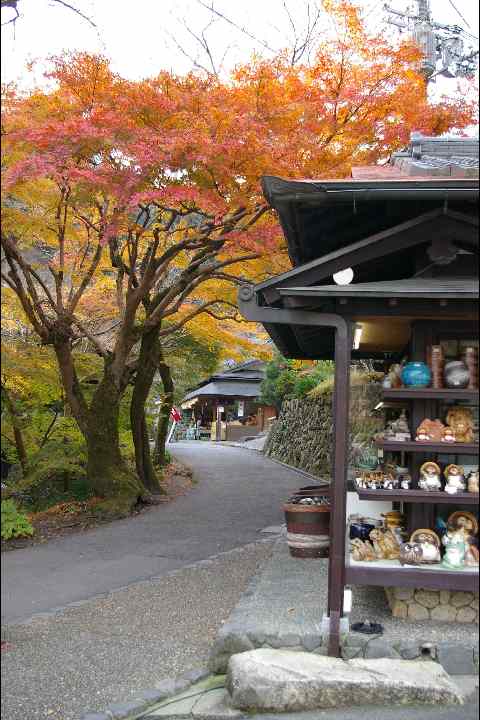 京都洛北　大原温泉　紫（ゆかり）の湯・大原山荘