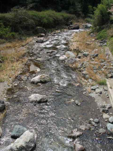 和歌山の温泉・藤の森不動温泉　だるま湯