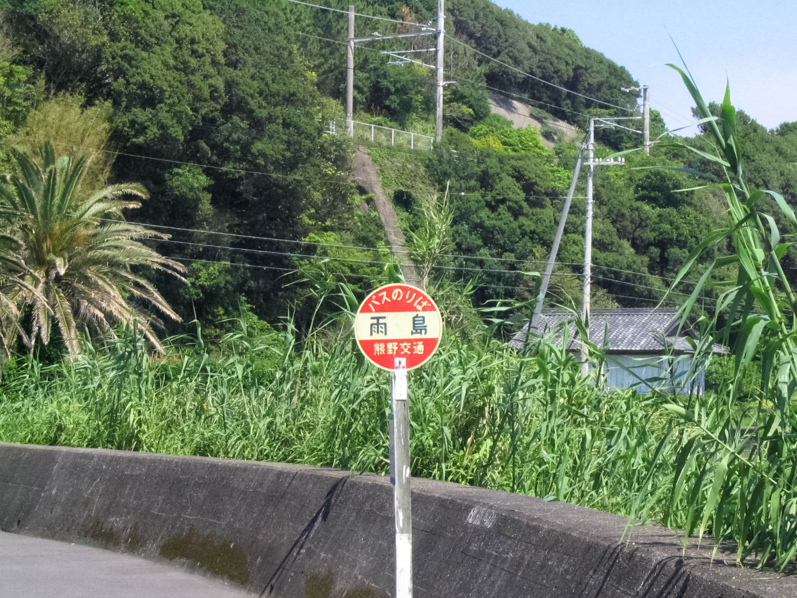 串本町　雨島